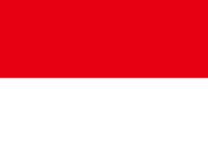 Virtual Phone Number Indonesia