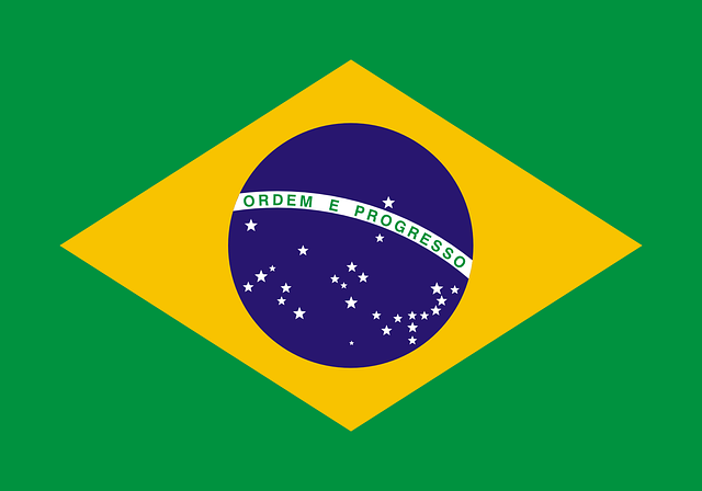 brazil virtual number